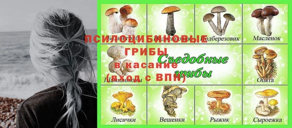 мет Богданович