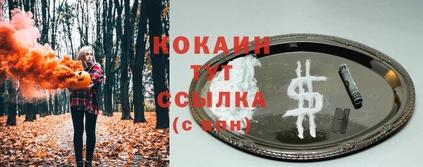 мет Богданович