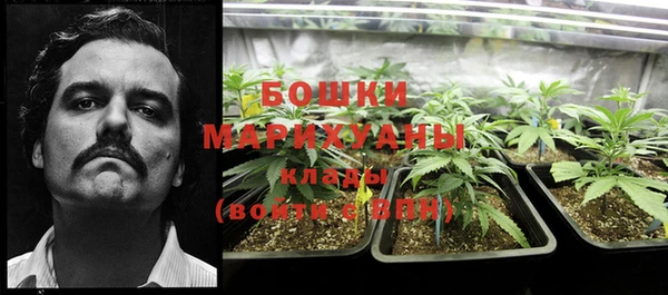 мет Богданович