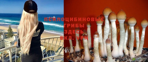 мет Богданович